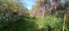 Terreni agricoli nella prima periferia di Terni